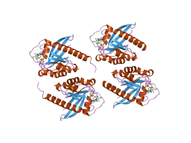 File:PDB 1vg8 EBI.jpg