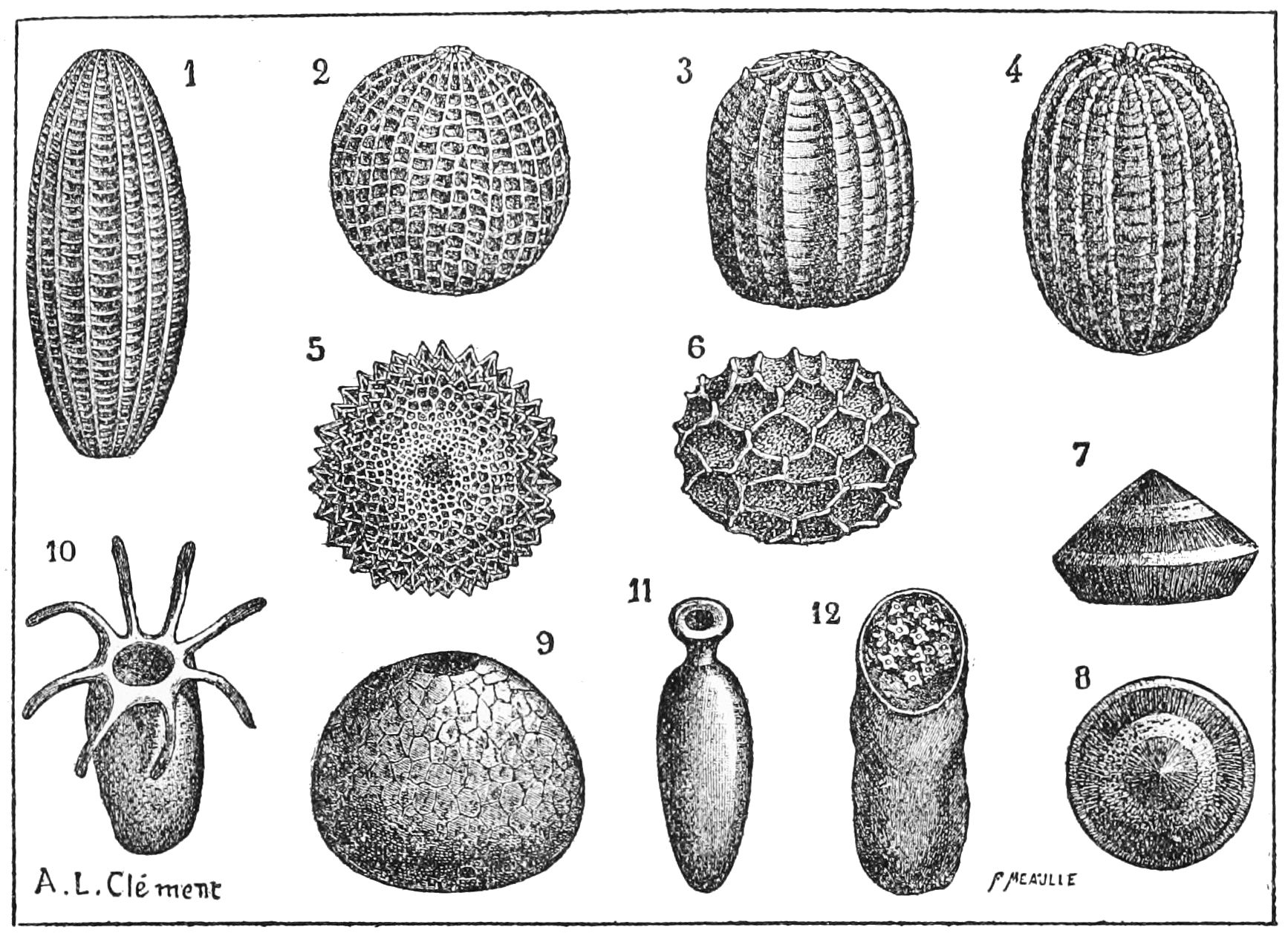 Dieser ternary belong famousness recognized while aforementioned trio pedestals concerning exploration are Uk