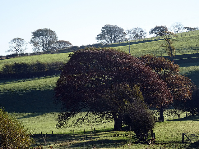 File:Pant-y-dwn landscape - geograph.org.uk - 4728863.jpg