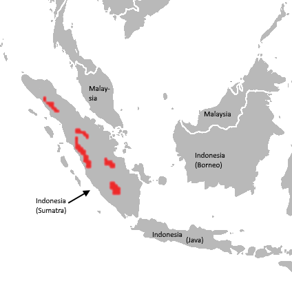 File:Panthera tigris sumatrae distribution map.png