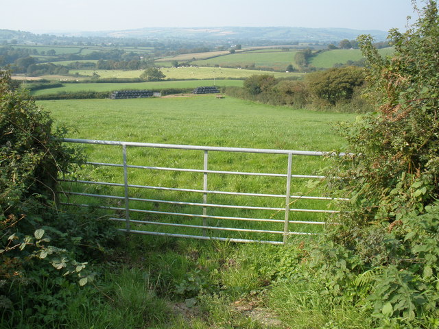 Blackdown Hill, Dorset