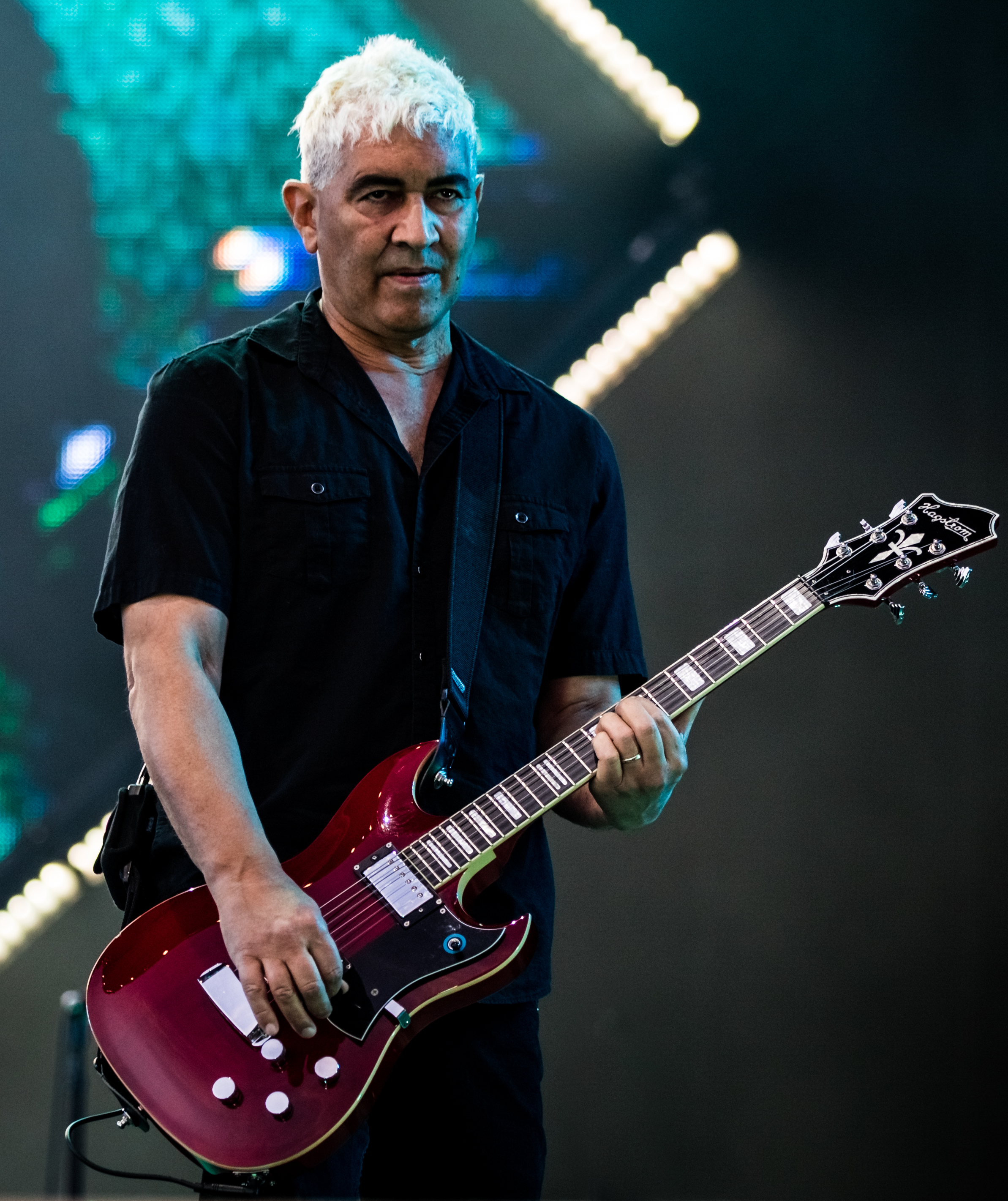 リンク : パット・スメア(Pat Smear)の使用エフェクター