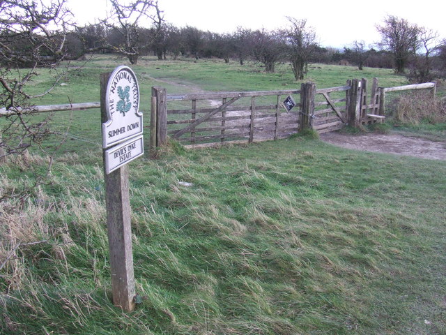 File:Path over Summer Down, South Downs - geograph.org.uk - 3275877.jpg