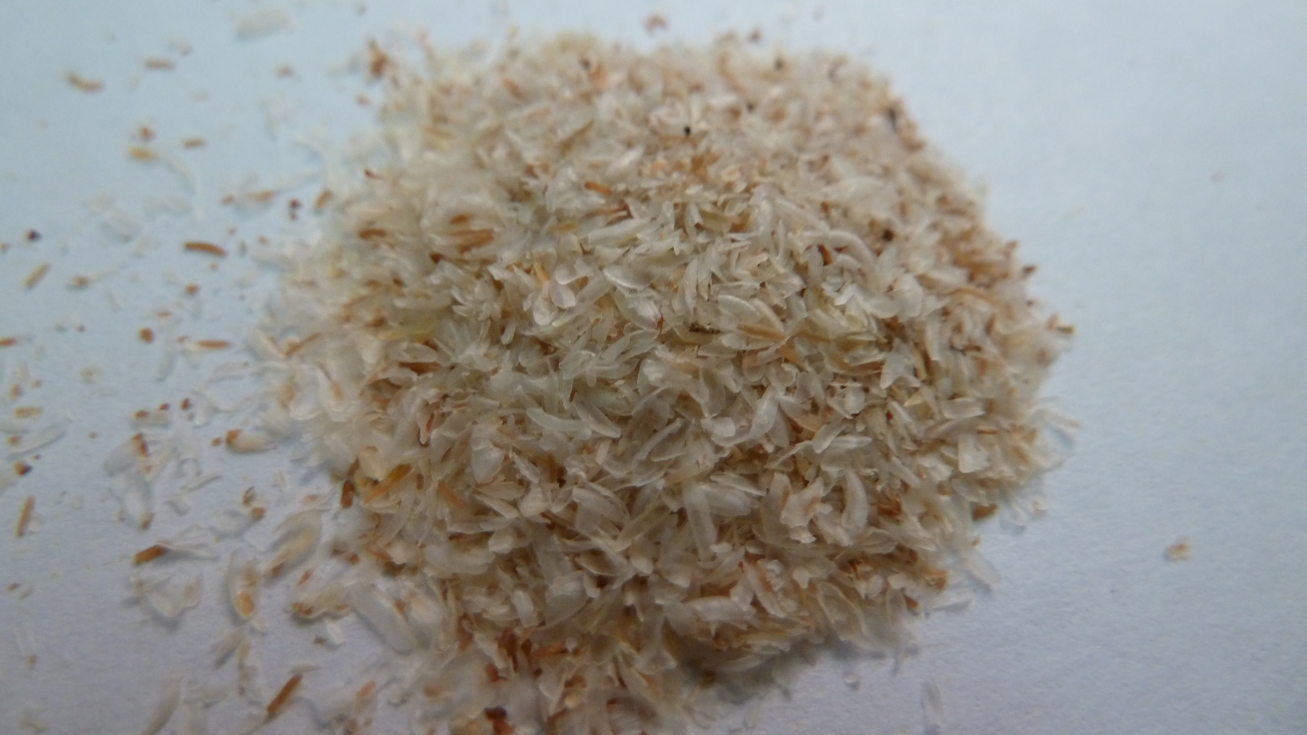 psyllium seeds benefits