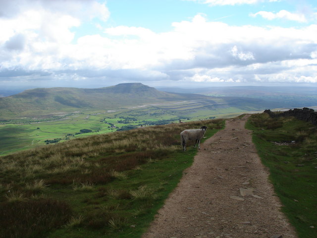 Whernside Summit - geograph.org.uk - 364661