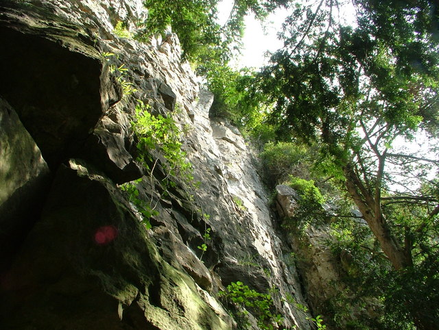 Wynd Cliff face (365 Steps) - geograph.org.uk - 543488