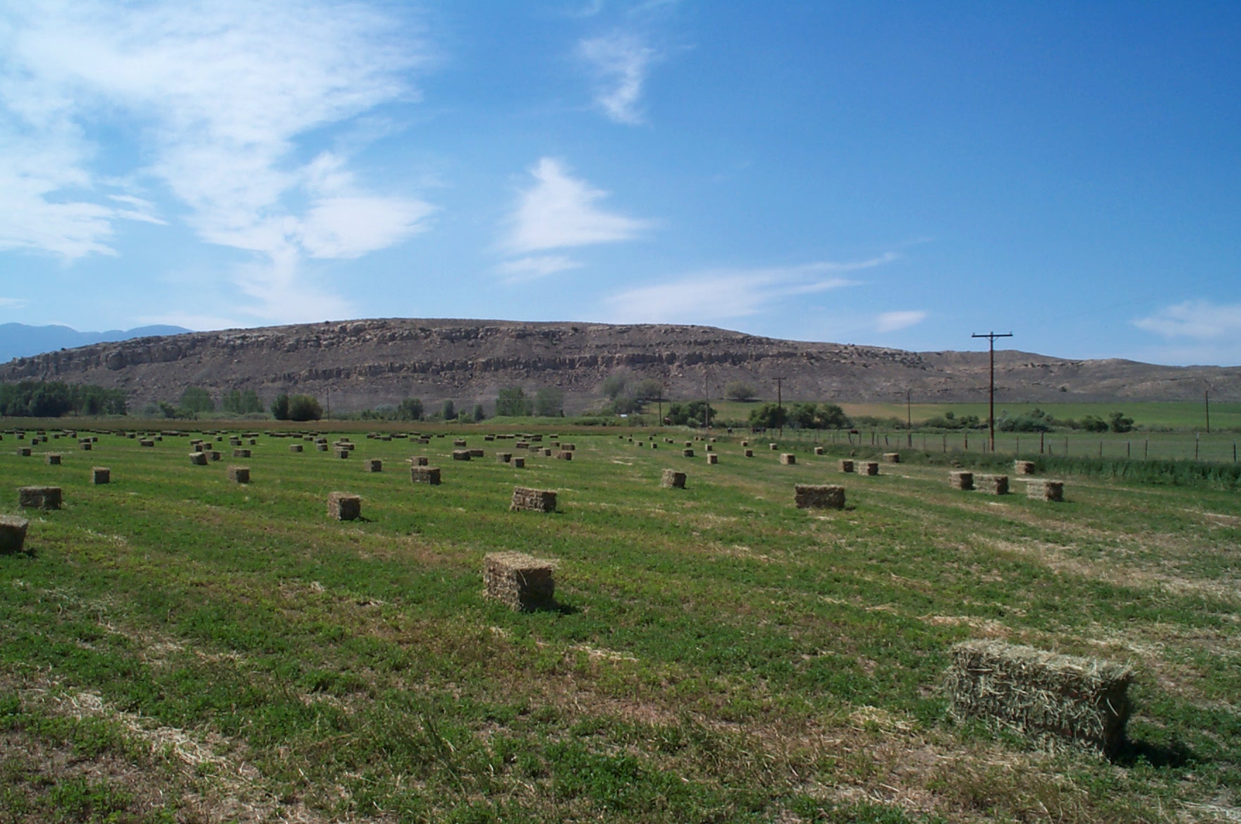 File:Hay bale.jpg - Wikimedia Commons