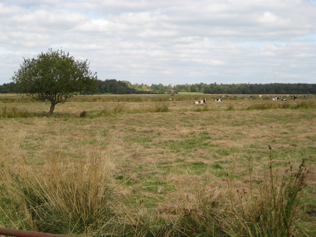 File:Amberley Wild Brooks SSSI - geograph.org.uk - 1508475.jpg