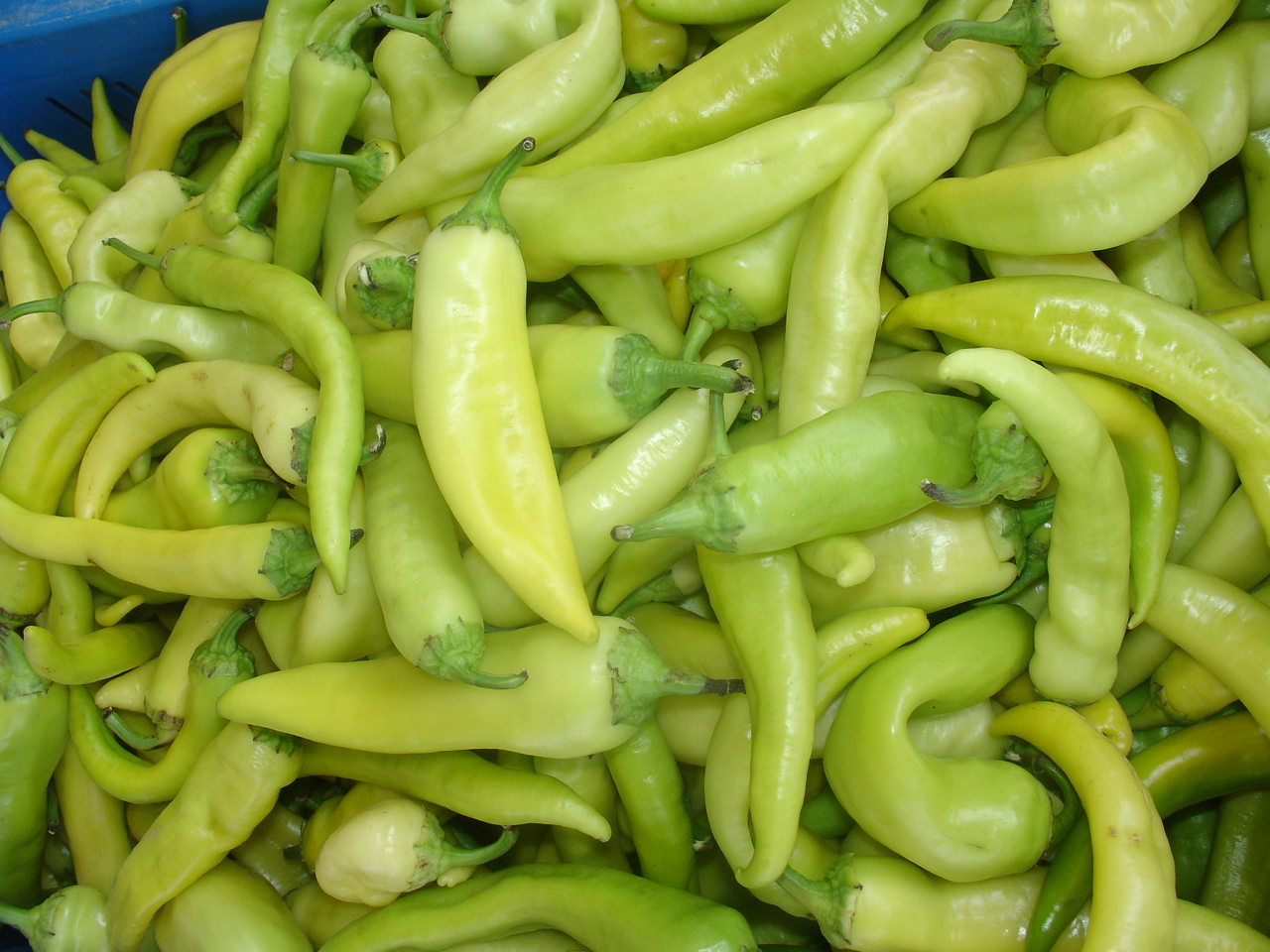 Green pepper deutsch