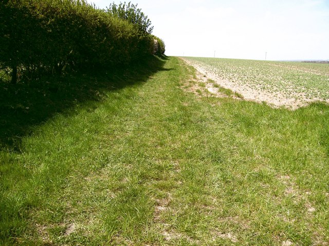 File:Bridleway to Cadeby - geograph.org.uk - 418502.jpg