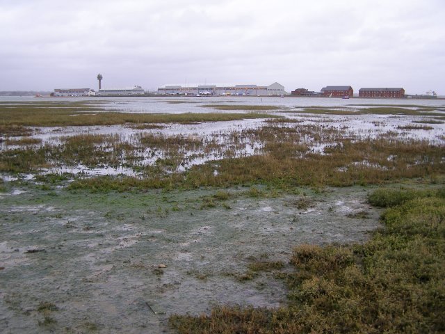 Calshot Marshes nature reserve - geograph.org.uk - 306989