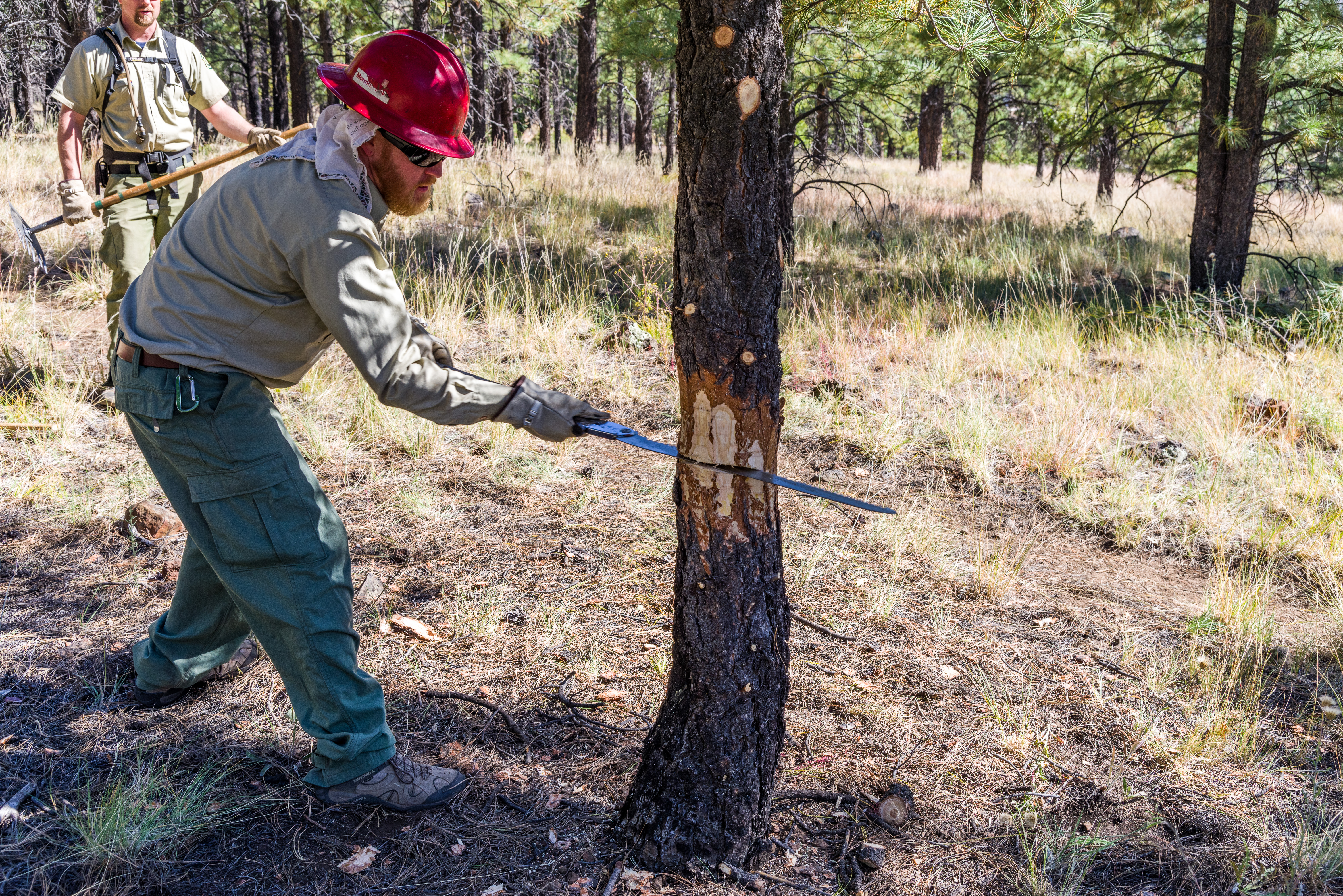 Deer_Hill_Trail_National_Public_Lands_Da