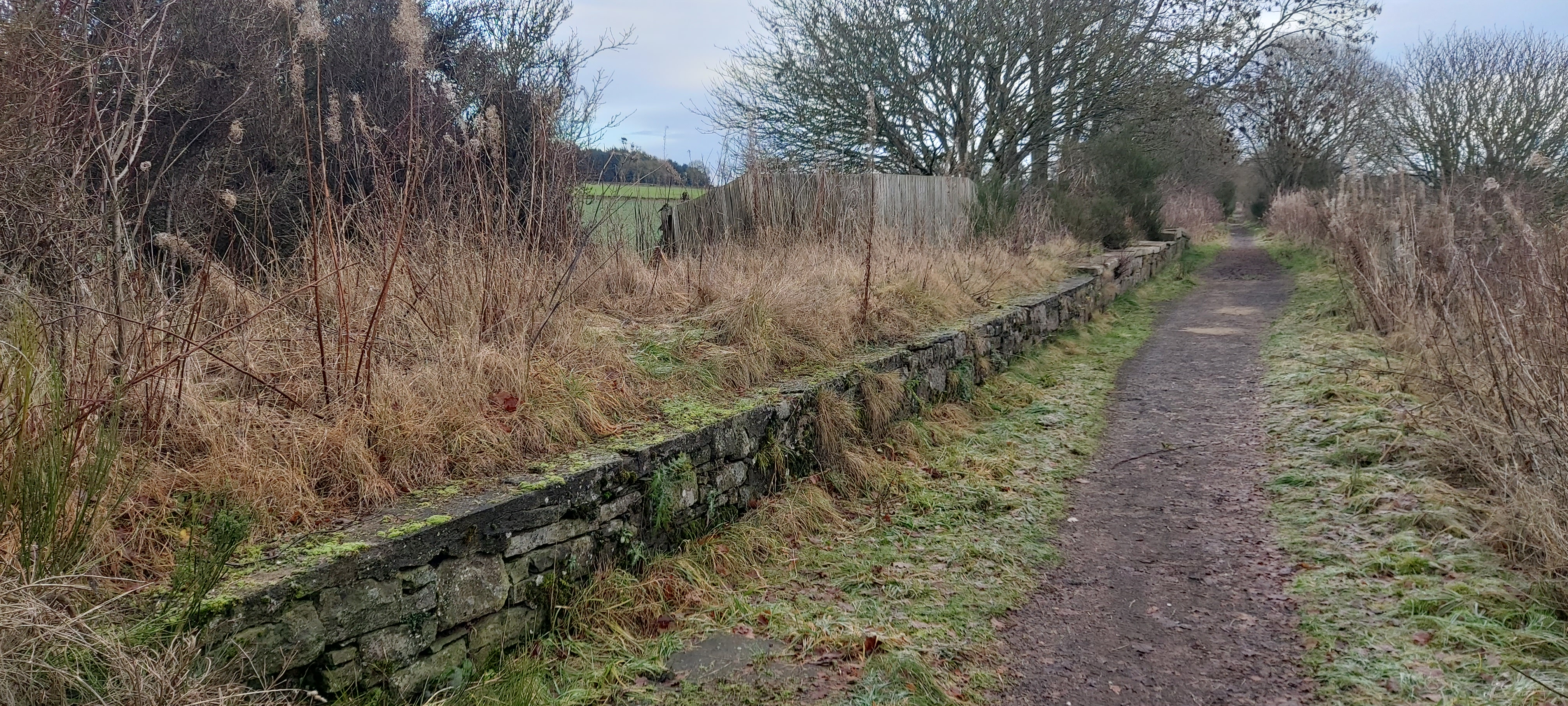 Dronley railway station