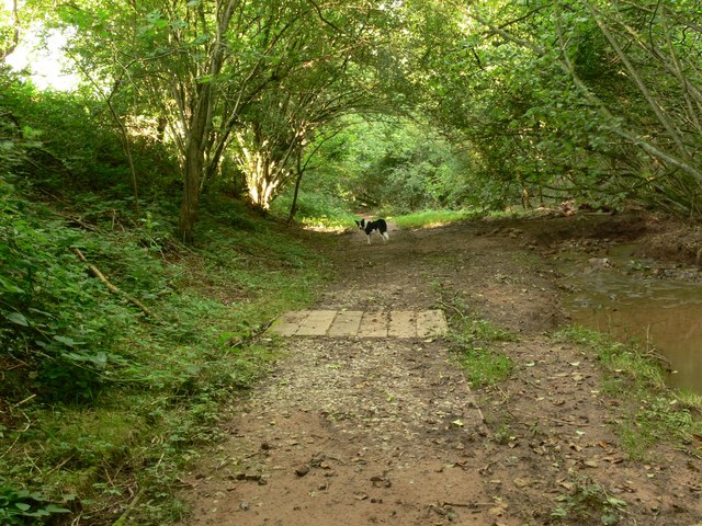 Easthams Coppice - geograph.org.uk - 495975