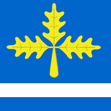 File:FLAG Mladenovac.gif