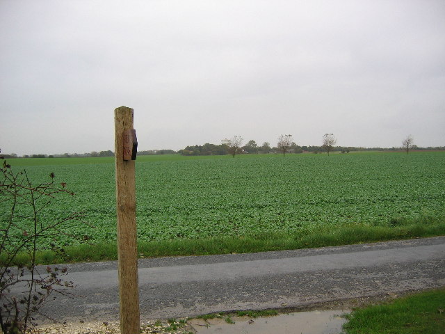 File:Farmland near Great Hatfield - geograph.org.uk - 69439.jpg