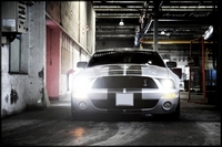 File:FordMustangShelbyGT500.jpg