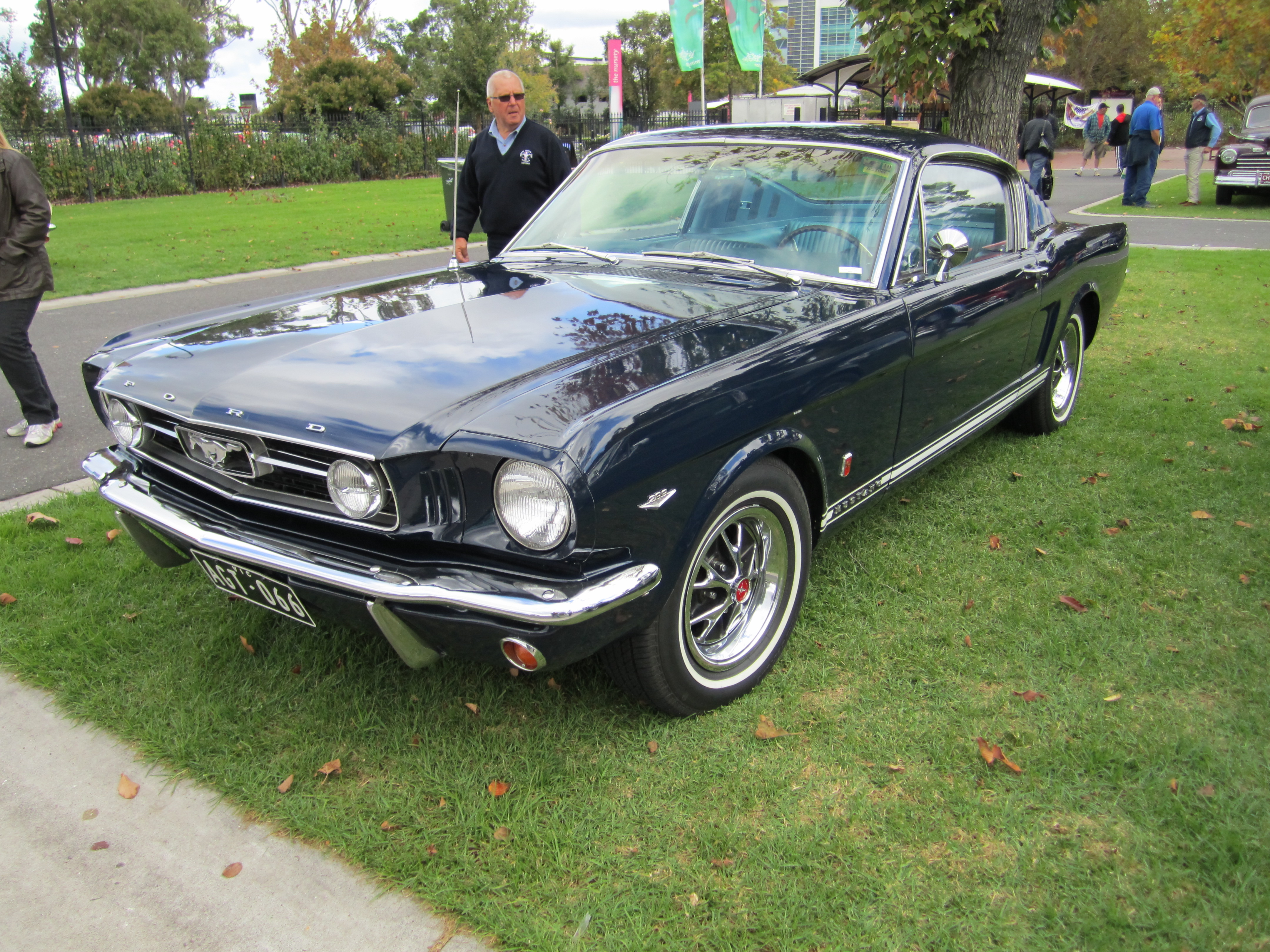 1966 Blue fastback ford gt mustang sale #5