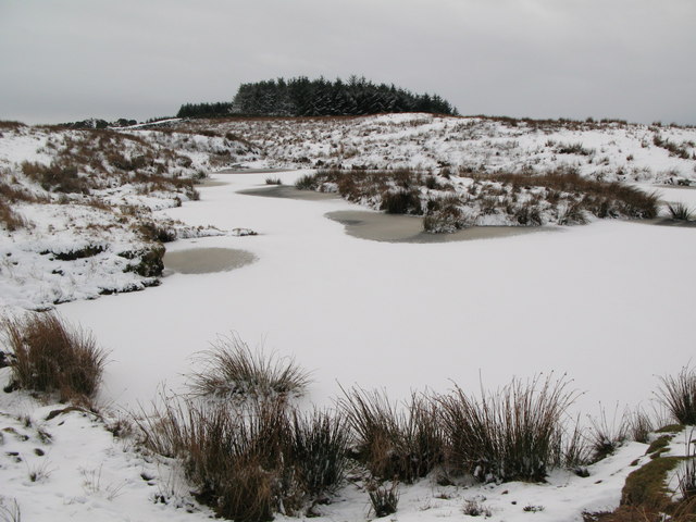 File:Frozen lough near Crawberry Hill (4) - geograph.org.uk - 675750.jpg