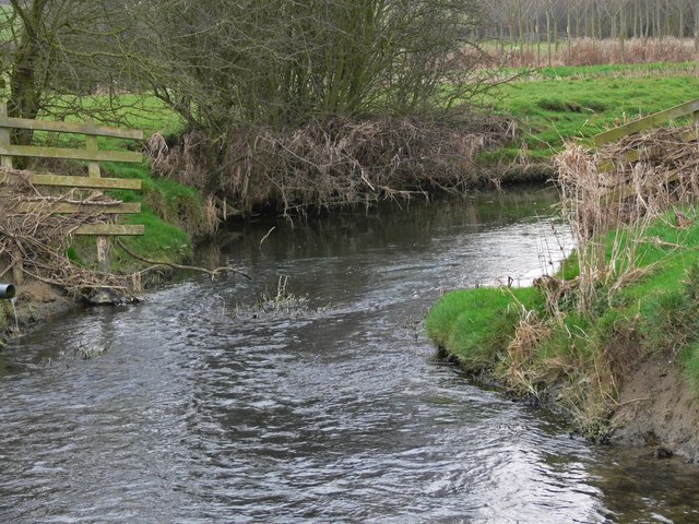 File:Gaddesby Brook - geograph.org.uk - 1208379.jpg