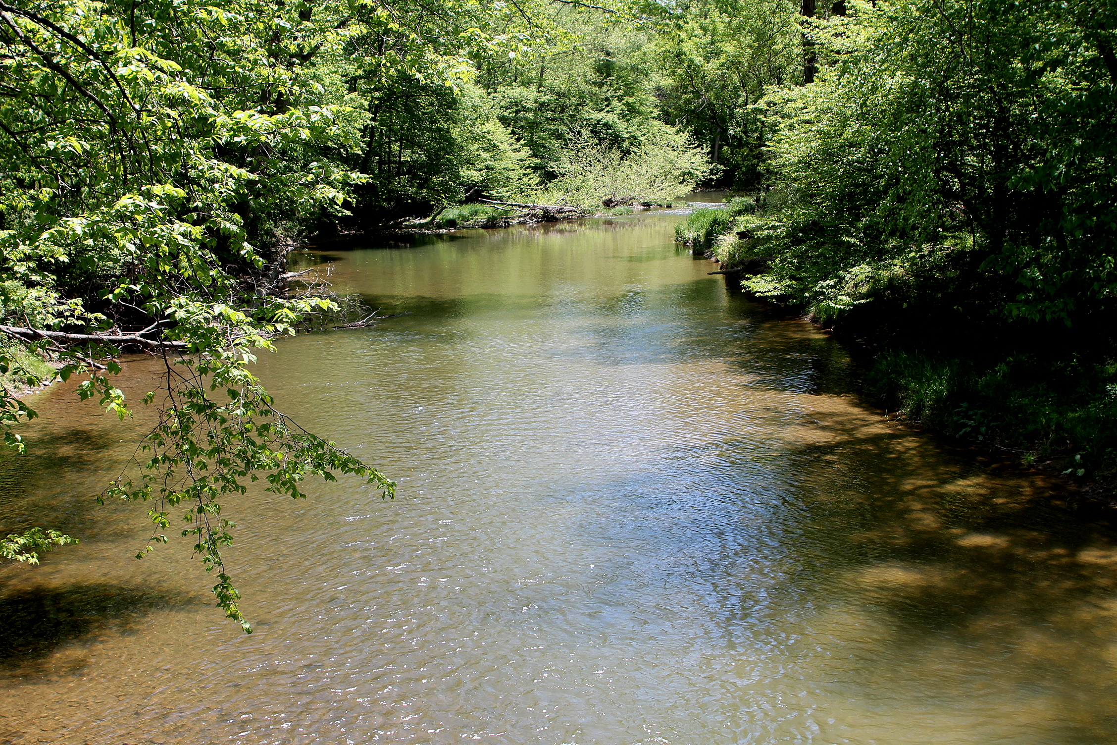 Green Creek (Fishing Creek tributary) - Wikipedia
