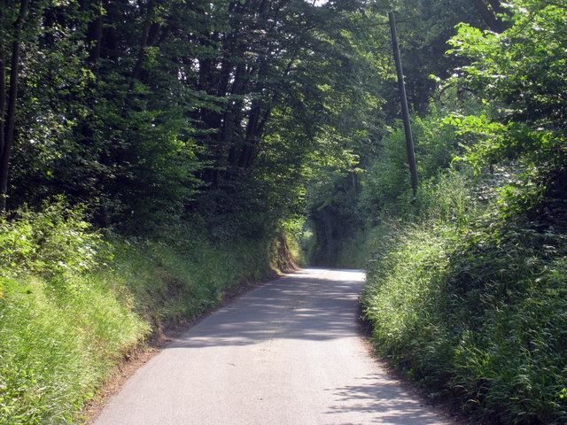 File:Hall Oak Road - geograph.org.uk - 1382077.jpg