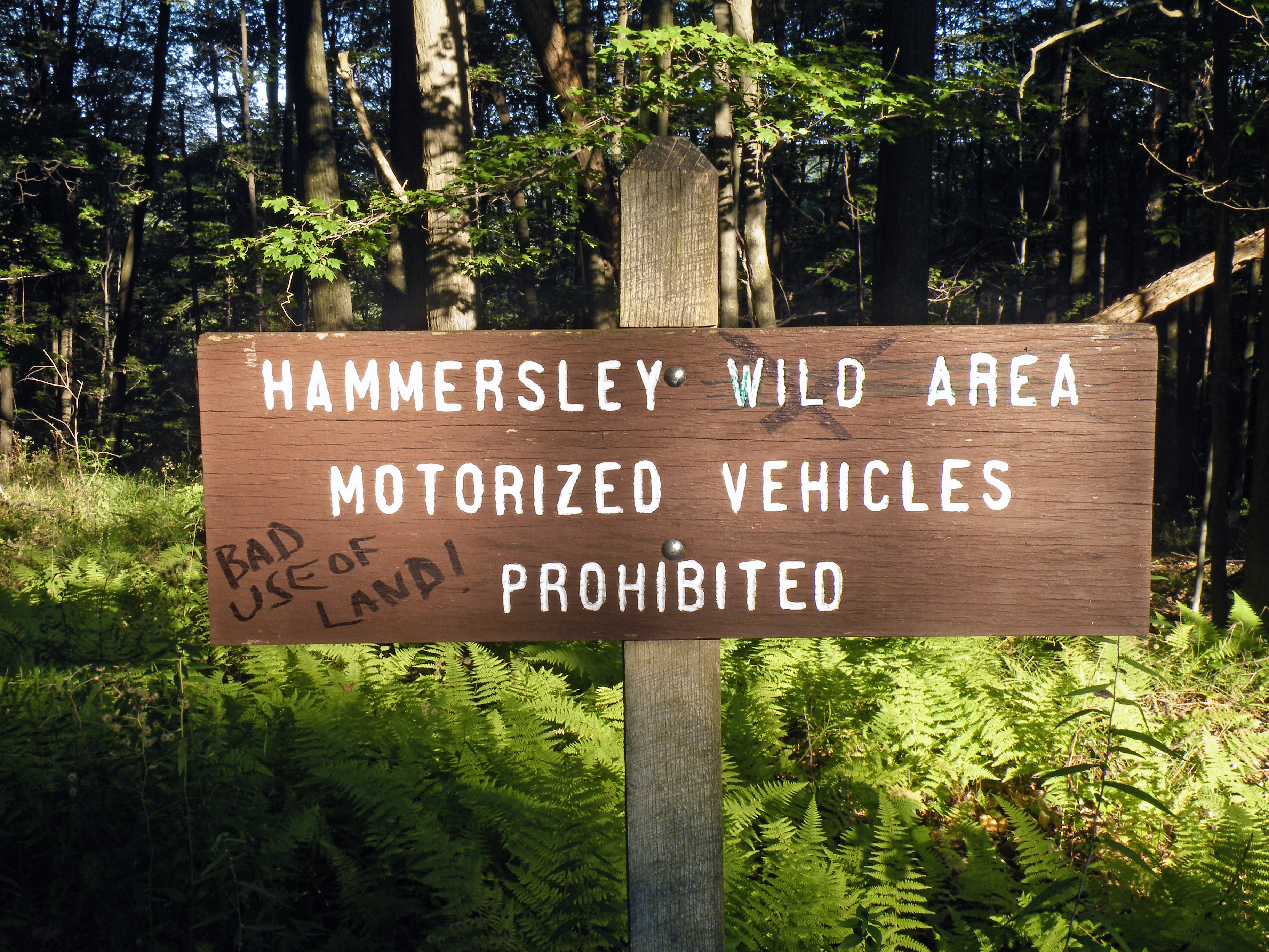 Photo of Hammersley Wild Area