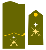 General inspector