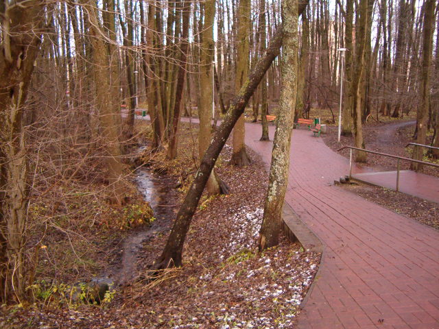 File:Lepistiku park. Tallinn 01.jpg