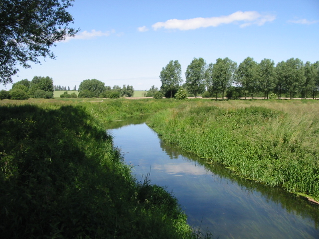 Looking NW along a short section of the Little Stour - geograph.org.uk - 856800