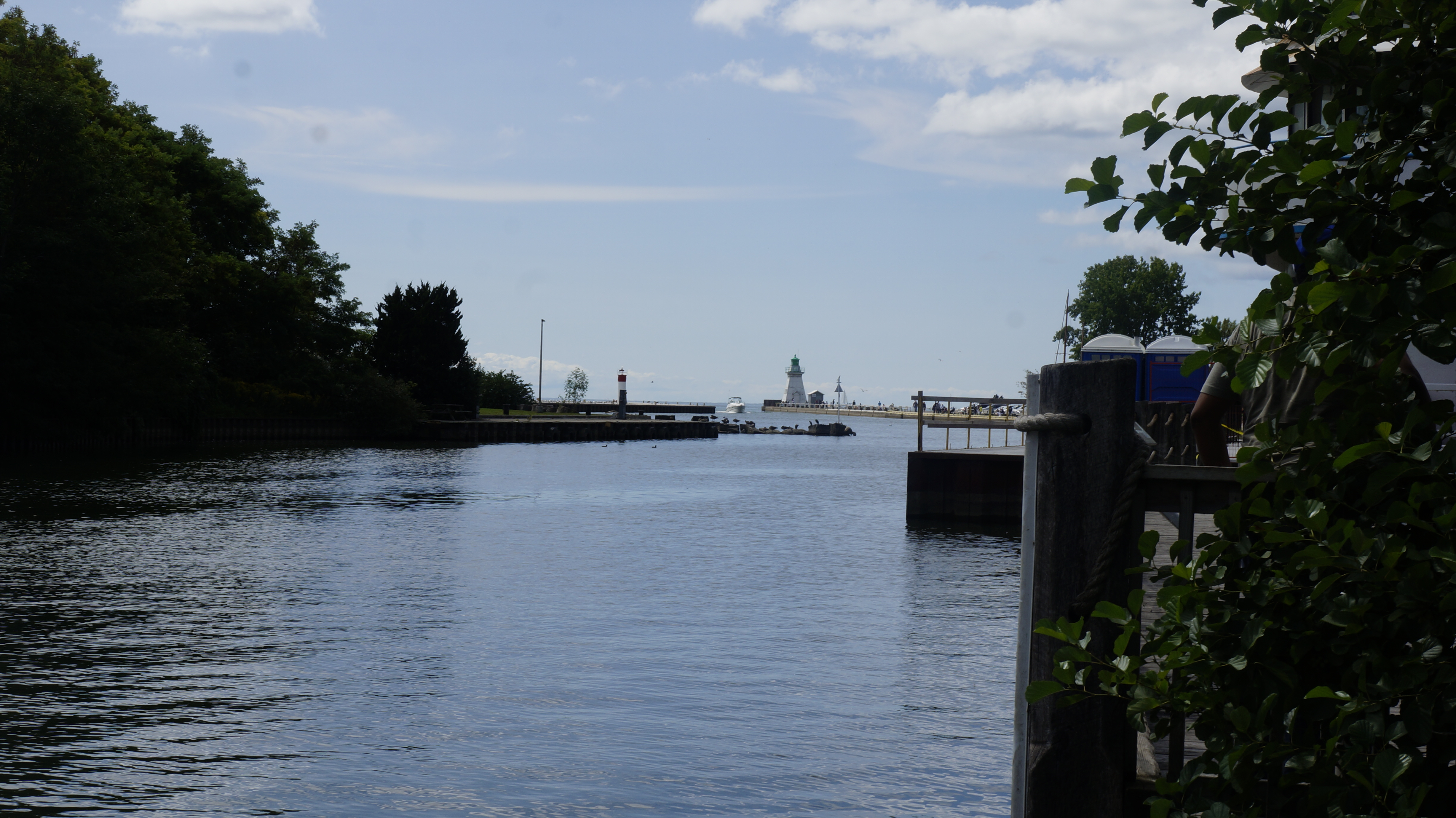 River lynn. Ривер Линн. Река Онтарио Дельфин. Norfolk County Ontario. Jodie Primeau Deep River Ontario.