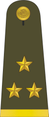 Mexican Military Coronel.gif