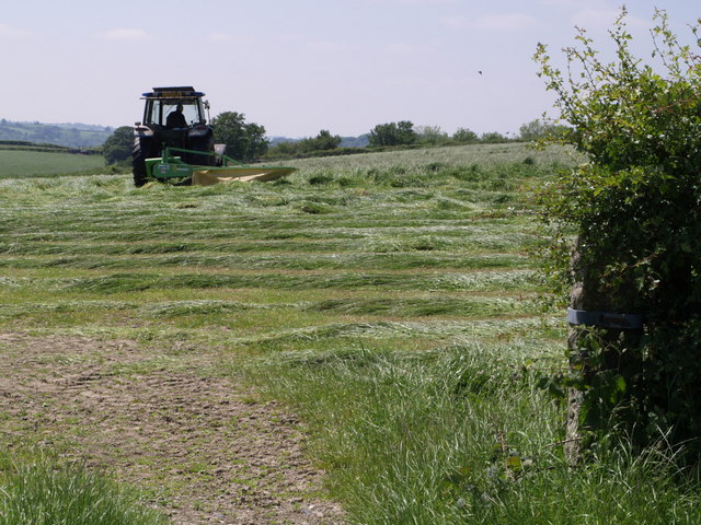 File:Mowing the grass - geograph.org.uk - 461096.jpg