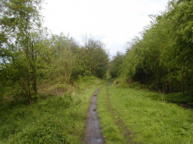 File:On 'The Way for the Millennium' - geograph.org.uk - 673149.jpg