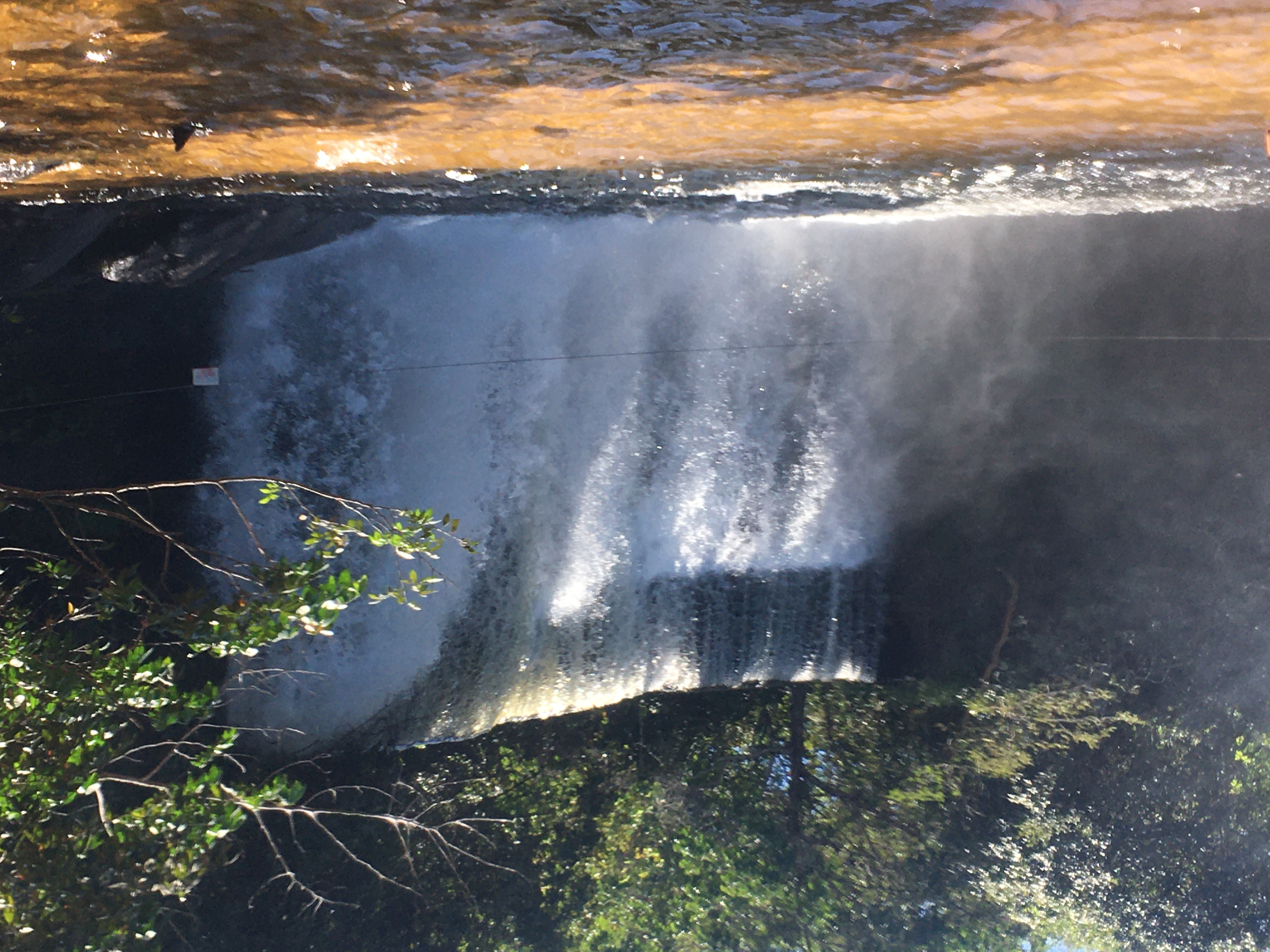 Cosas que se pueden hacer en un parque nacional