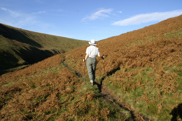 File:Path Ogden Clough - geograph.org.uk - 269960.jpg