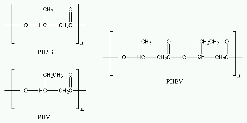 polyhydroxyalkanoate