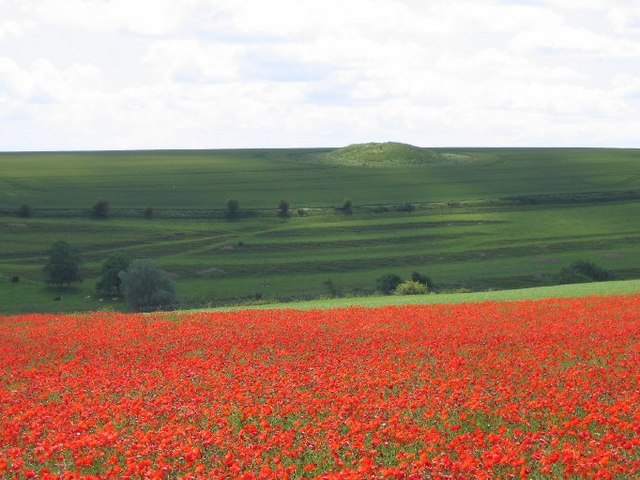 File:Poppies and Tumulus - geograph.org.uk - 690307.jpg
