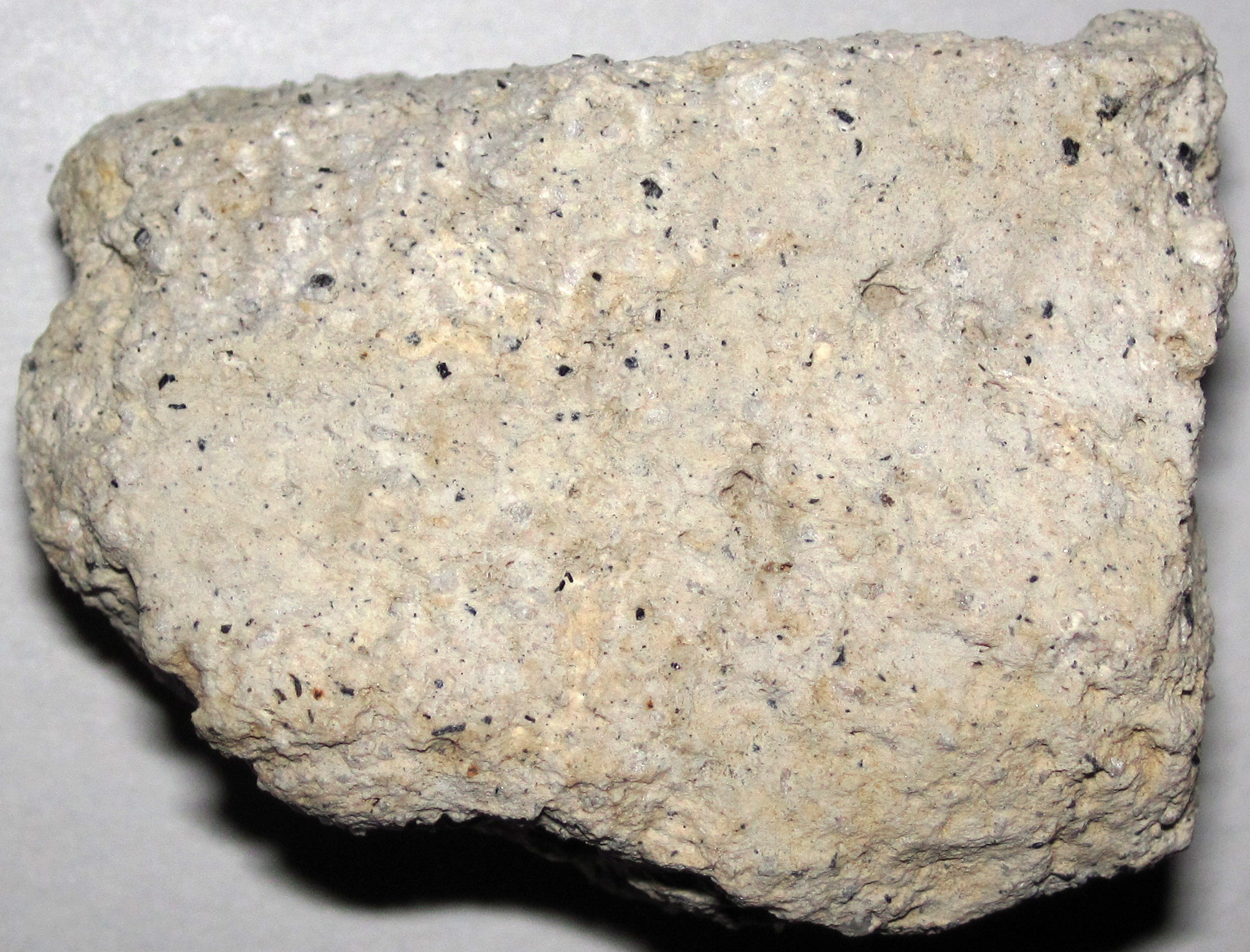 Pumice Rock