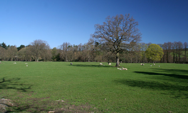 File:Ridley - geograph.org.uk - 1247892.jpg