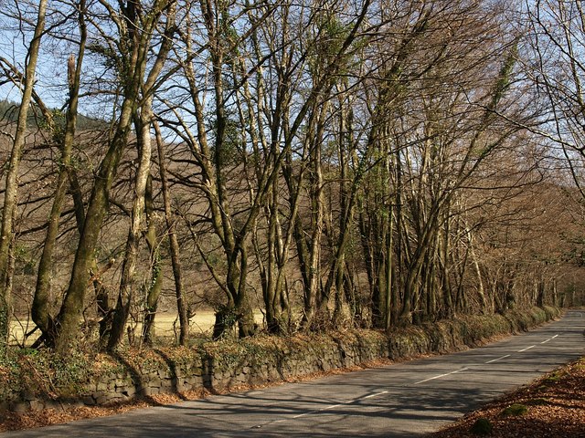 File:Road near Holne Old Bridge - geograph.org.uk - 1216558.jpg