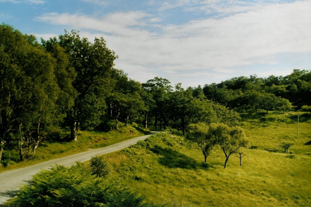 File:Road to Croggan - geograph.org.uk - 394101.jpg