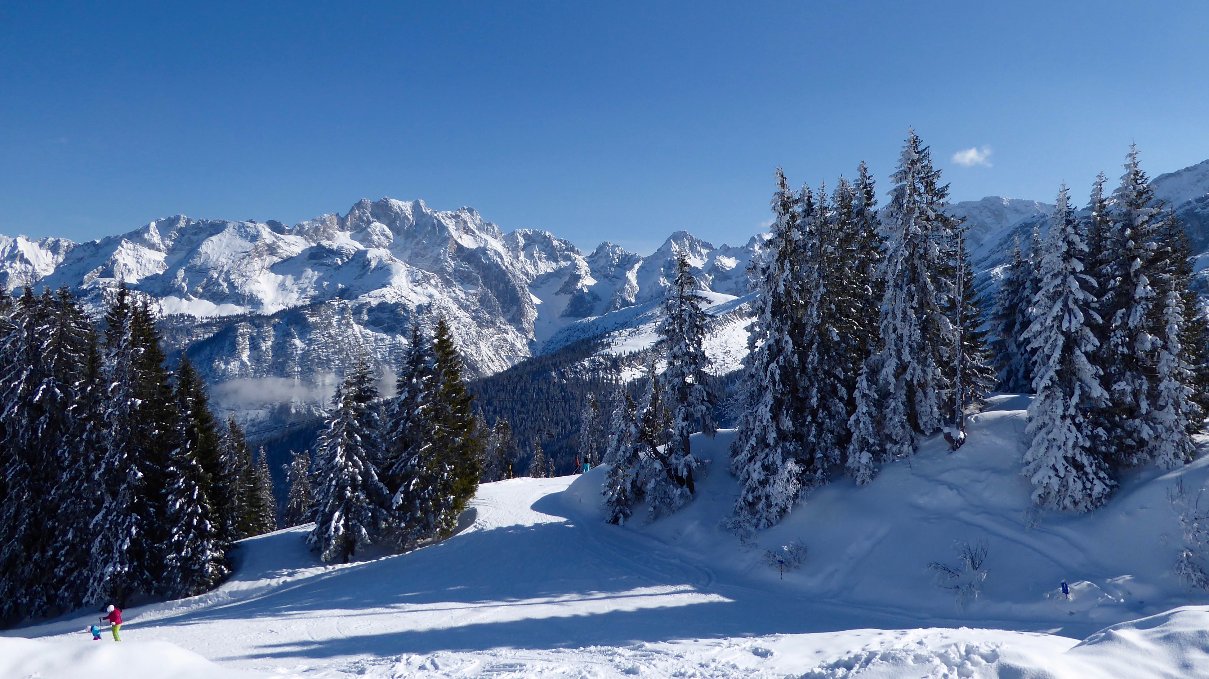 Skiing through the woods, Wetterstein mountains (2016).