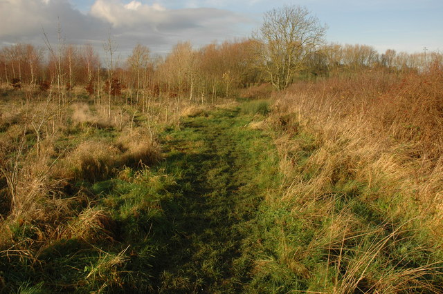 File:Stoulton Community Woodland - geograph.org.uk - 1621607.jpg