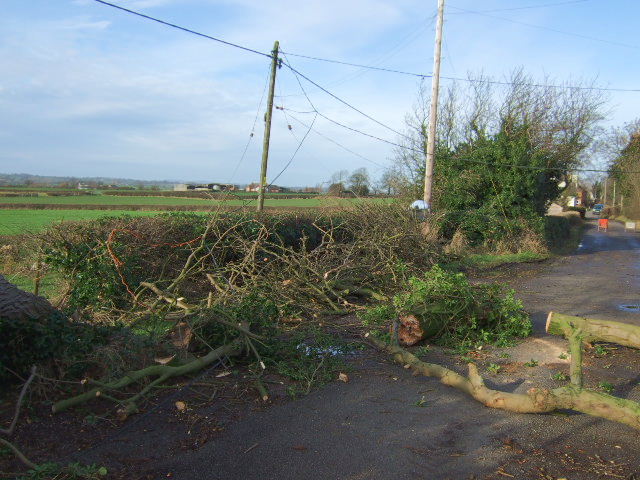 File:Tangled Wires - geograph.org.uk - 317683.jpg
