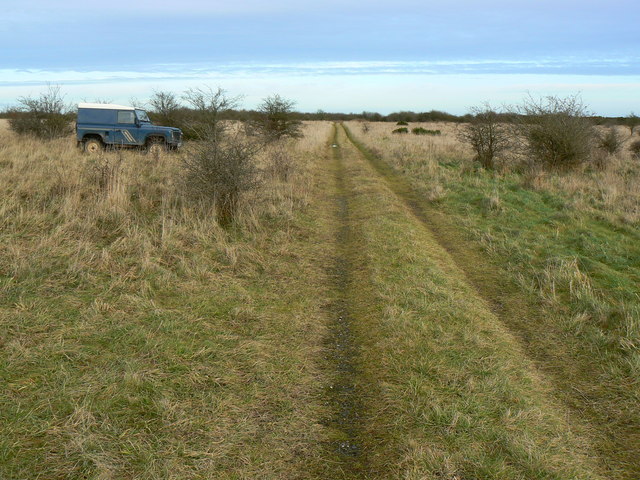 File:Track near Little Hill, Salisbury Plain - geograph.org.uk - 656004.jpg