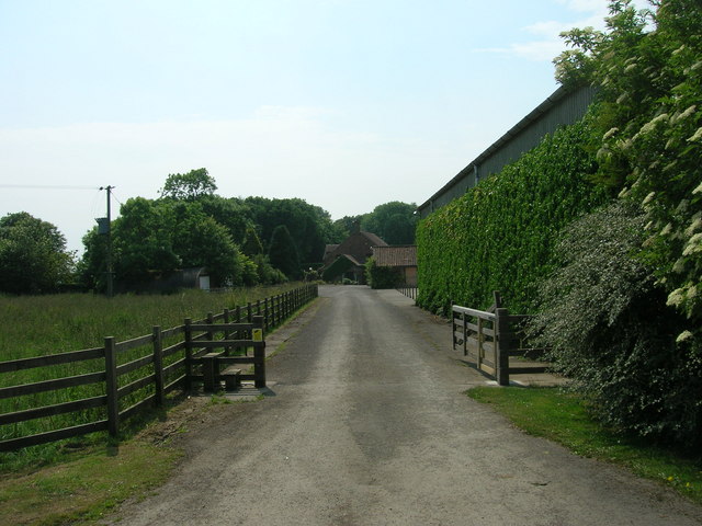 File:Track to Burrow House Farm - geograph.org.uk - 1379835.jpg
