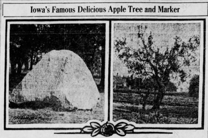 File:Winterset City Park Red Delicious Apple Boulder and Original Tree.png