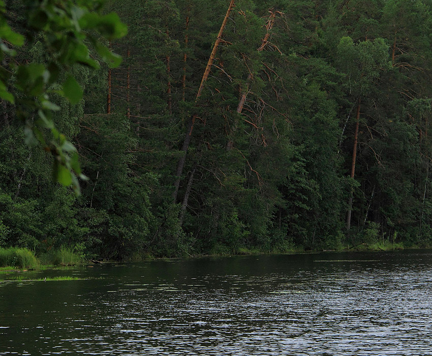 Озеро глухое марий эл фото