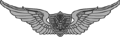 ArmyAvitBadge. gif 